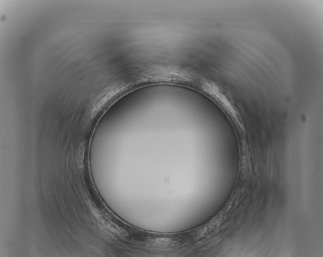 X0000090480058200707131053