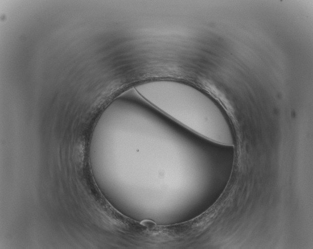 X0000090480113200707131053