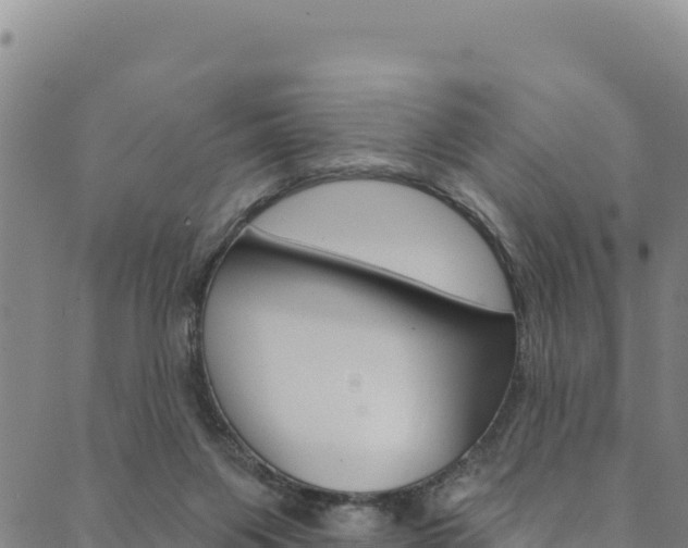 X0000090480119200707131053