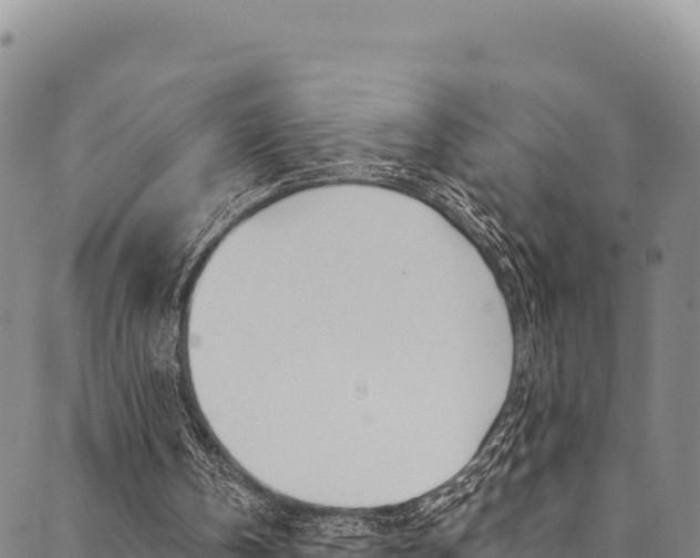 X0000090480146200707131052