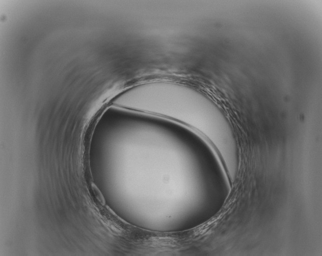 X0000090480150200707131052