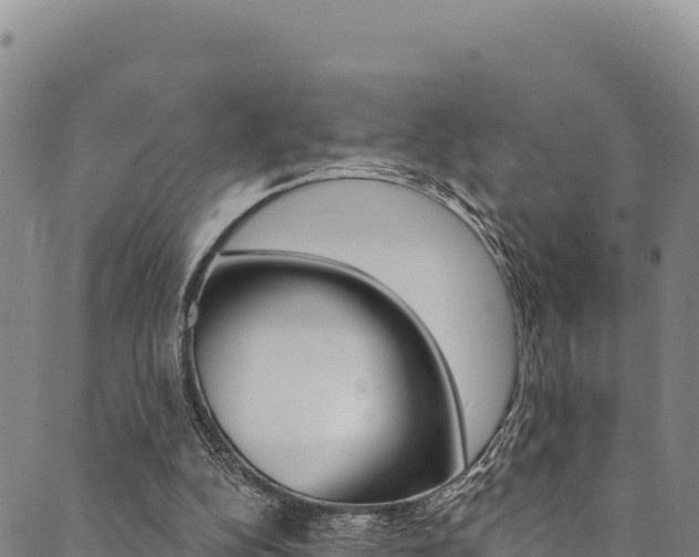 X0000090480152200707131052