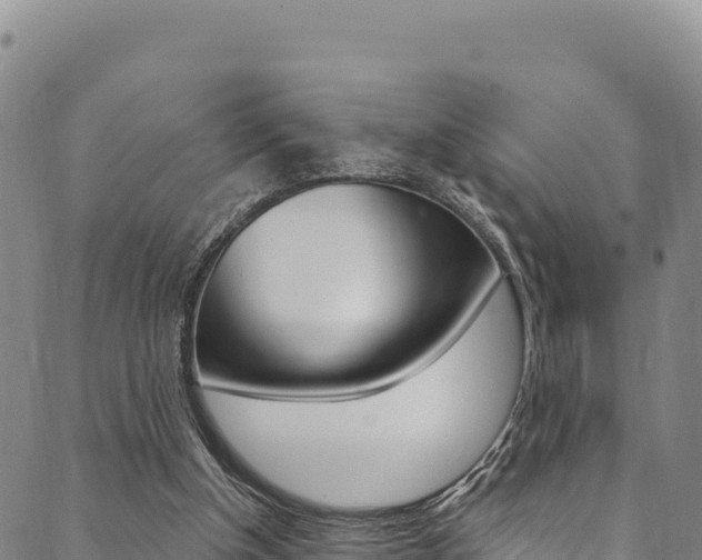 X0000090480154200707131052