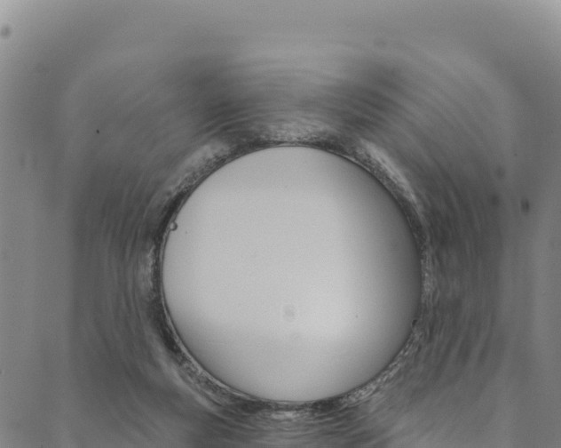 X0000090480163200707131052