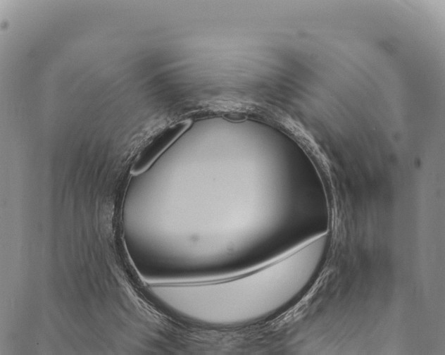 X0000090480201200707131052