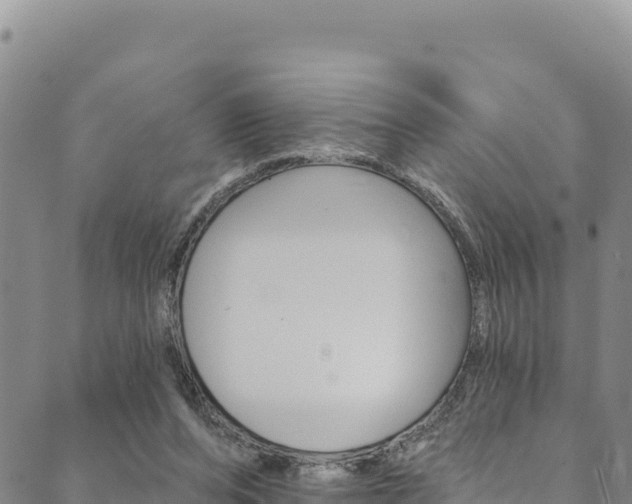 X0000090480208200707131052