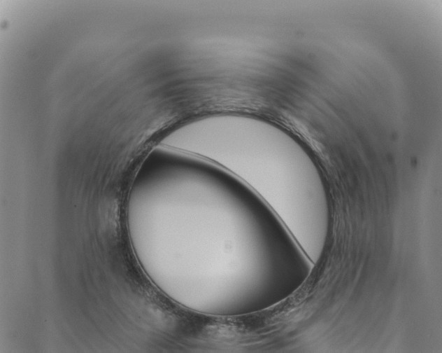 X0000090480211200707131051