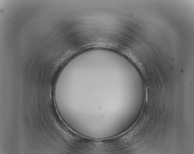 X0000090480253200707131050