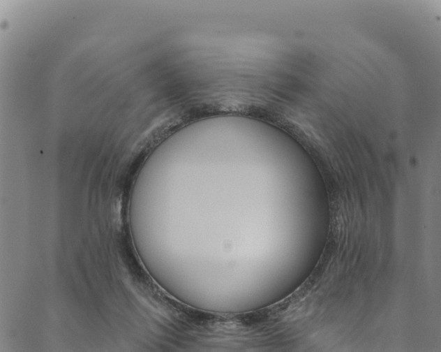 X0000090480262200707131051