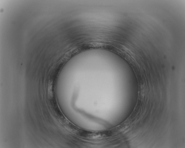 X0000090480267200707131051