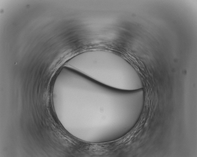 X0000090480290200707131050