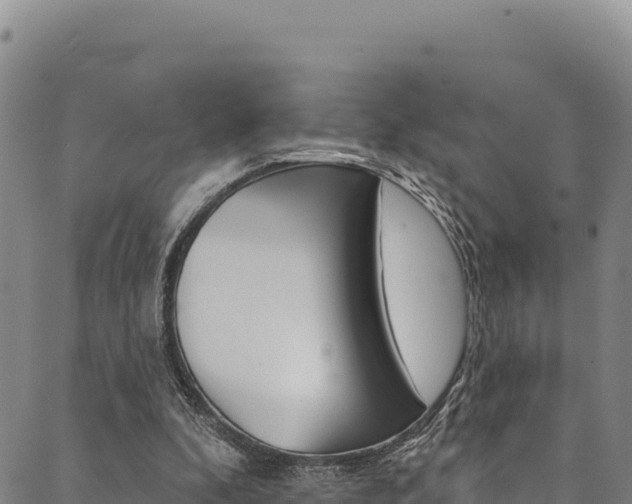 X0000090480296200707131050