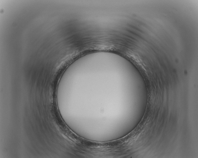 X0000090480303200707131050