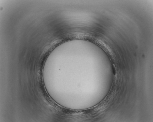 X0000090480306200707131050