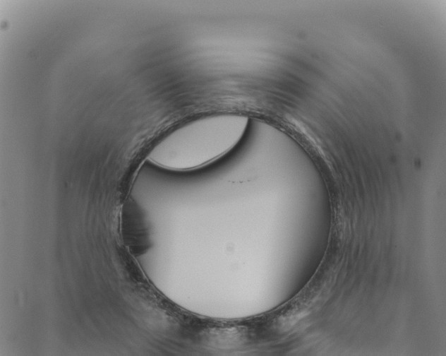X0000090480307200707131050