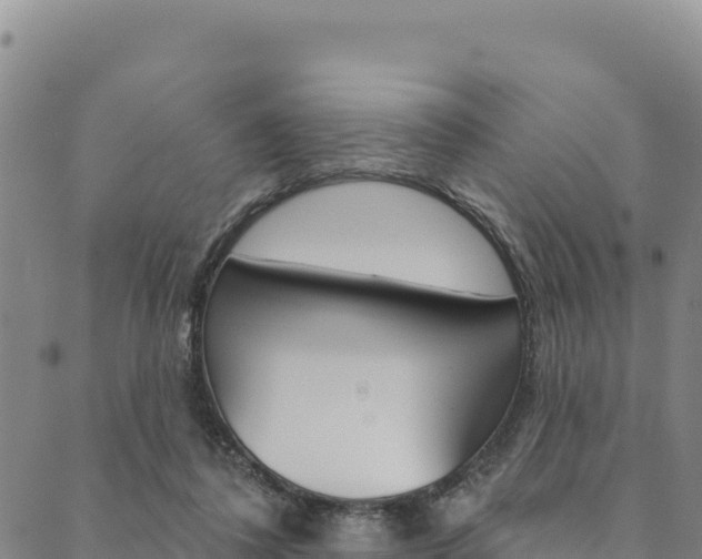 X0000090480308200707131050