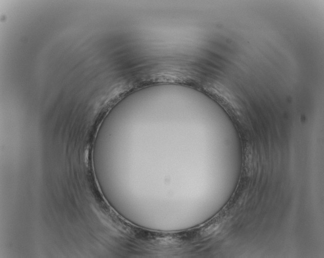 X0000090480310200707131050