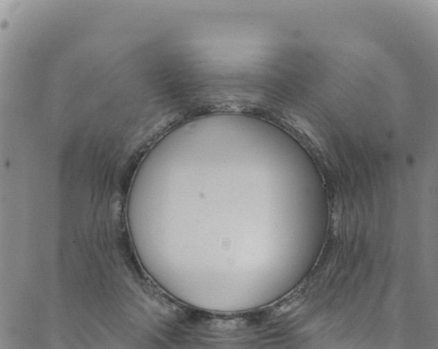 X0000090480314200707131050