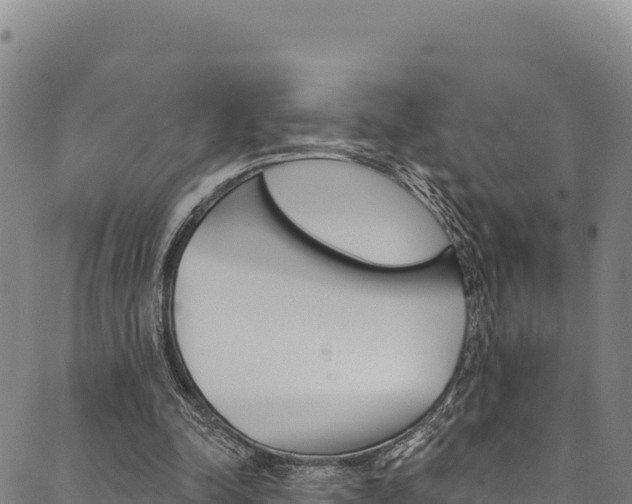 X0000090480342200707131049