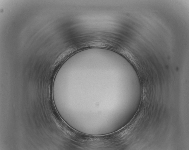 X0000090480349200707131049