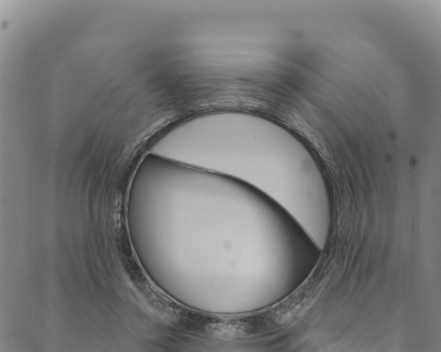 X0000090480356200707131049