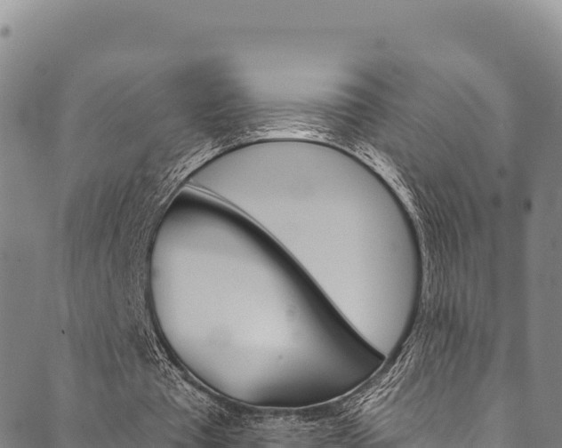 X0000090480385200707131049