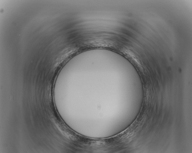 X0000090480398200707131048