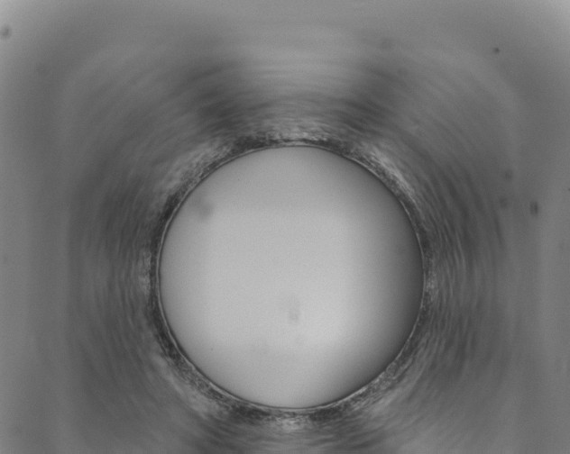 X0000090480402200707131048