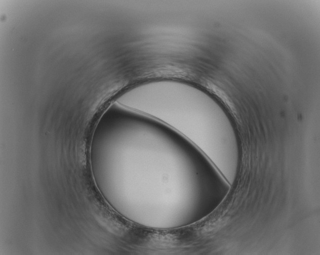 X0000090480403200707131048