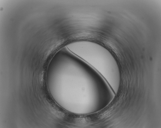 X0000090480404200707131048