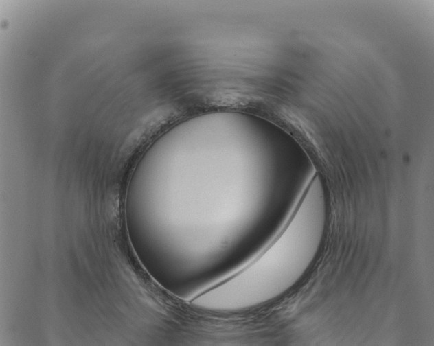 X0000090480407200707131048
