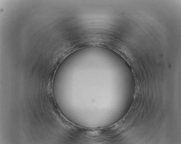 X0000090480411200707131048