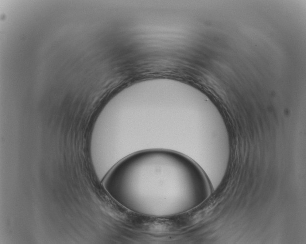 X0000090480412200707131048