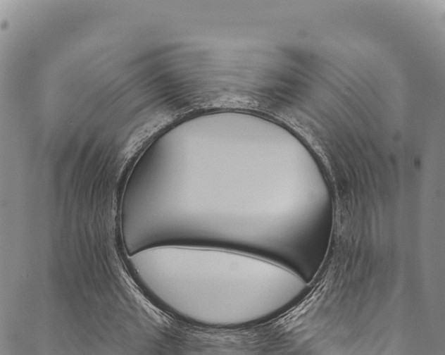 X0000090480437200707131047