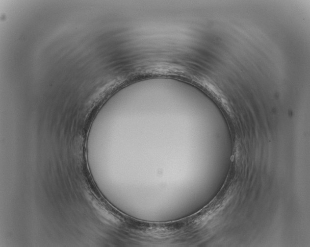 X0000090480445200707131047