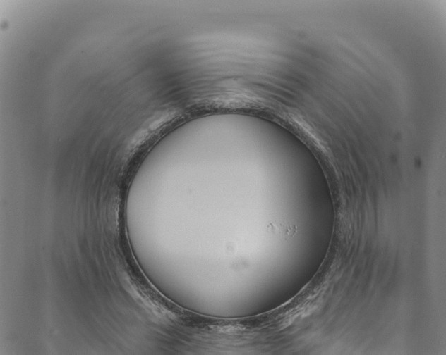 X0000090480446200707131047