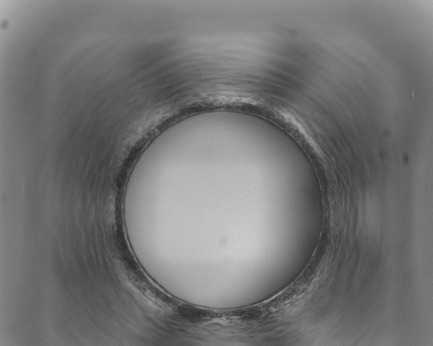 X0000090480447200707131047