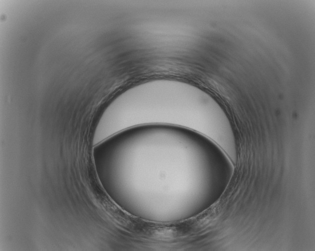 X0000090480456200707131047