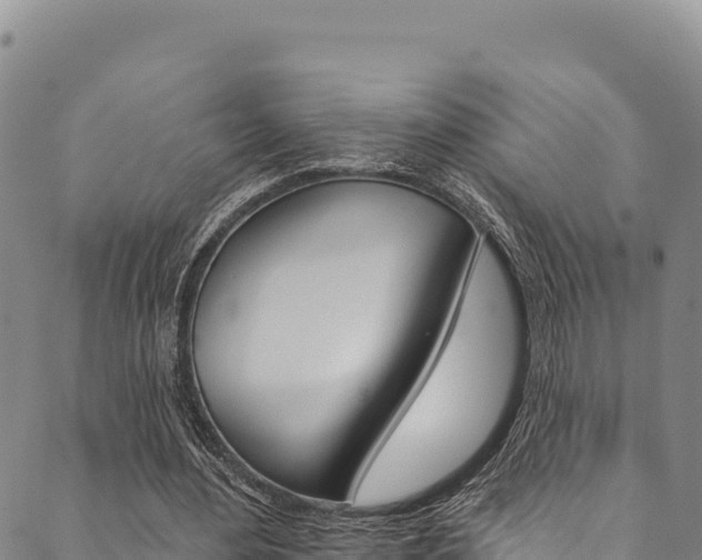 X0000090480484200707131047
