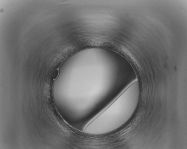 X0000090480497200707131047