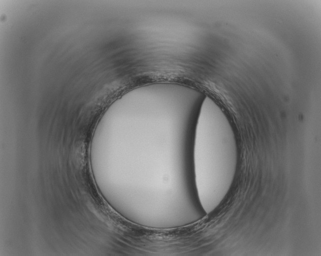 X0000090480498200707131047