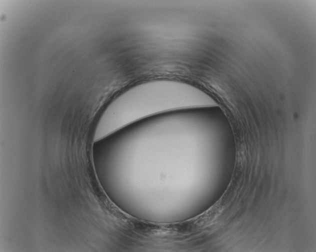 X0000090480504200707131047