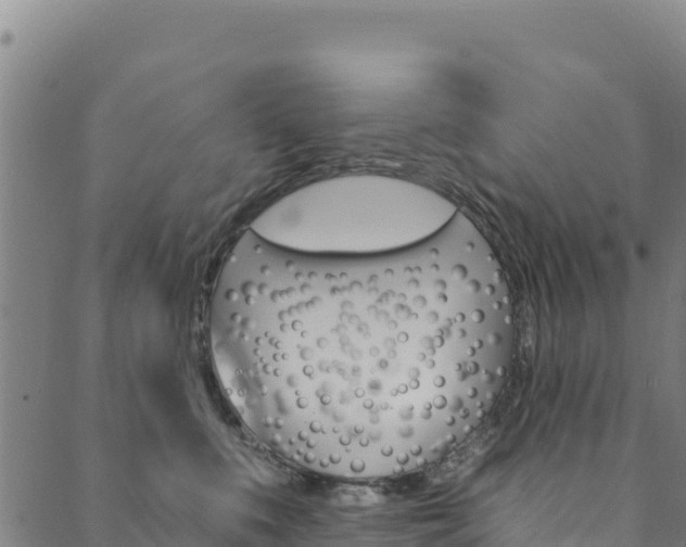 X0000090480519200707131046