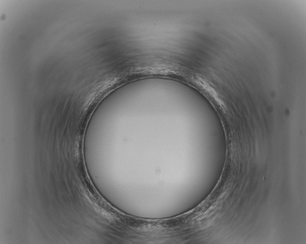 X0000090480537200707131046