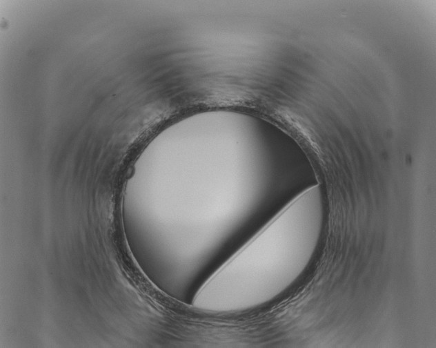 X0000090480539200707131046