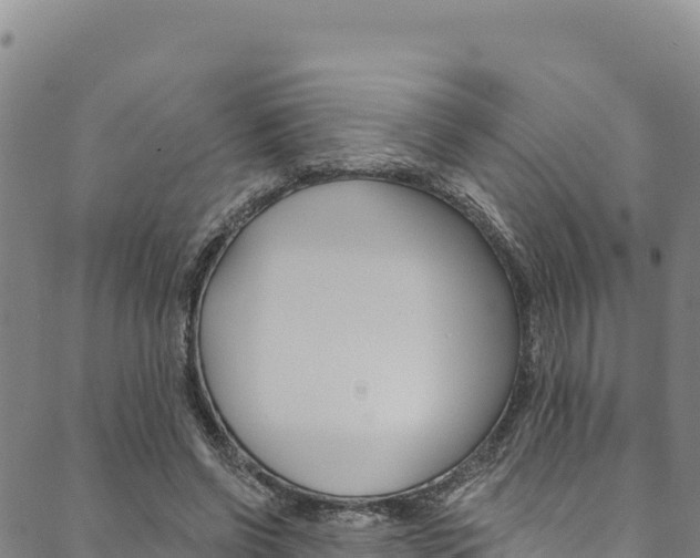 X0000090480542200707131046