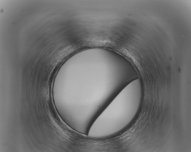 X0000090480582200707131045