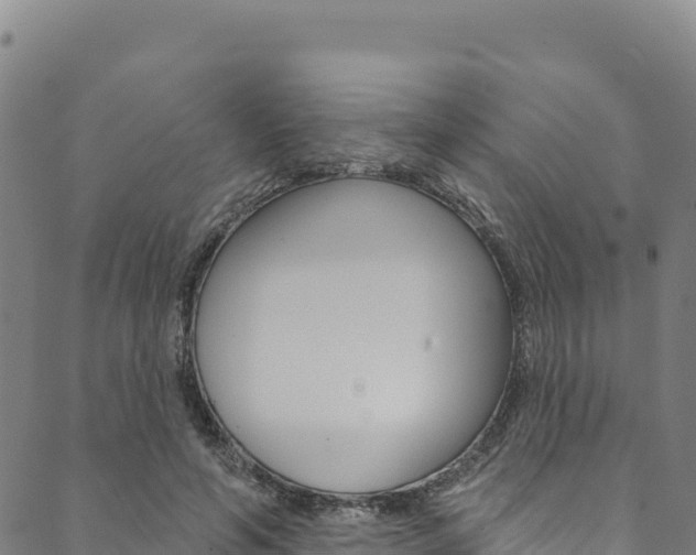 X0000090480594200707131045