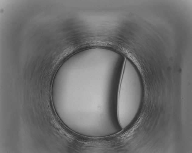 X0000090480625200707131044