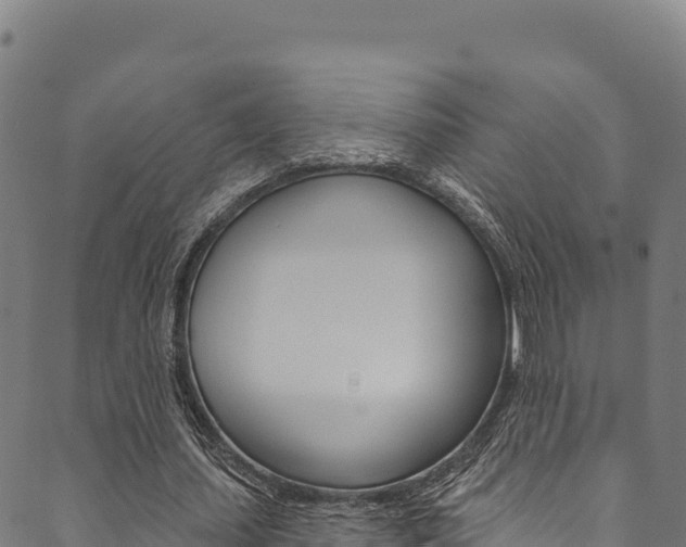 X0000090480627200707131044